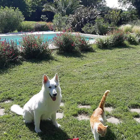 La Feniere Aux Hirondelles Bed & Breakfast