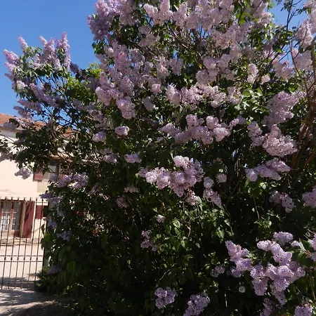 Bed & Breakfast La Feniere Aux Hirondelles